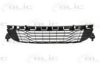 BLIC 5510-00-6043995Q Ventilation Grille, bumper